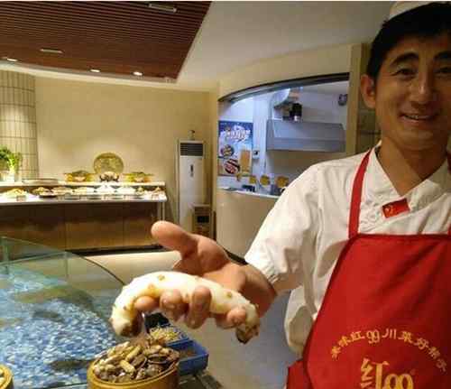 白海参 青岛现罕见白色海参 白玉参基因突变形成20万只中只有一个