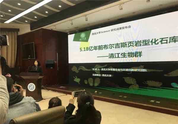 宜昌现清江生物群 宜昌现清江生物群 揭示寒武纪之秘的新宝藏出土了