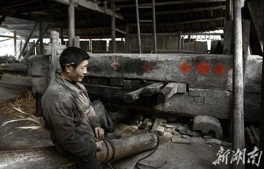 榨油 即将消失的农耕文化——古法榨油