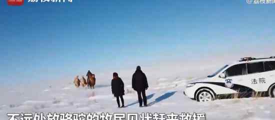 帅!法官骑骆驼穿越雪地办案 究竟是怎么一回事?