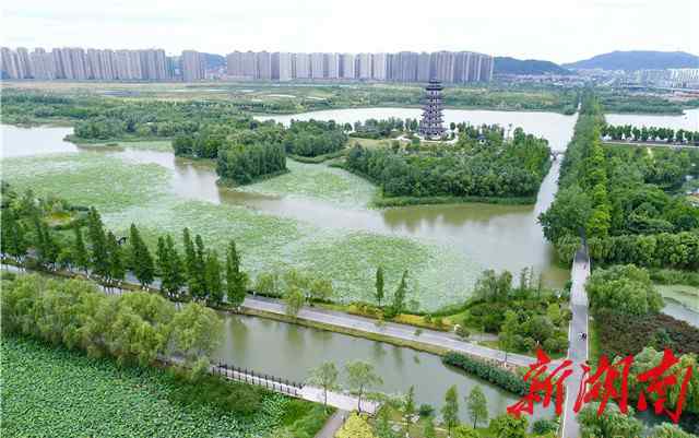 洋湖湿地公园 喜大普奔！长沙洋湖湿地晋升国家级湿地公园