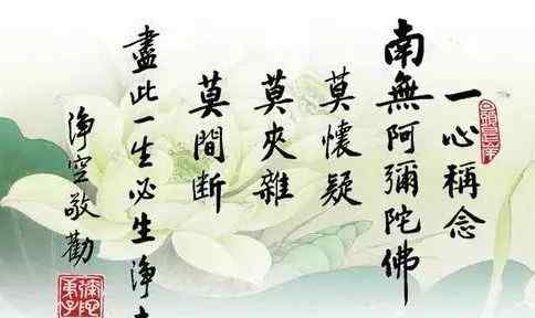 澳洲净宗学院 老法师2019年3月3日澳洲净宗学院餐后开示（视频＋文字）