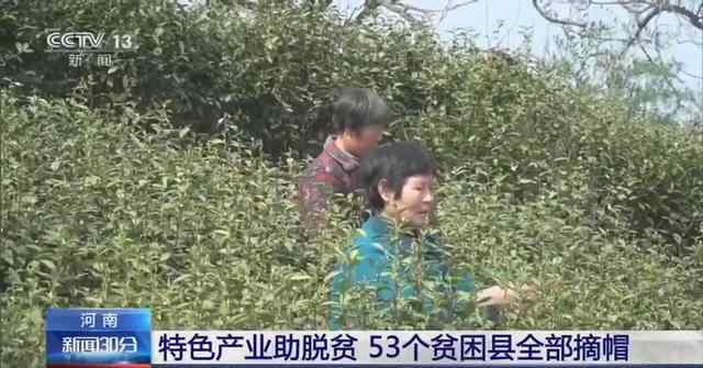 河南53个贫困县全部脱贫 河南特色产业助脱贫 53个贫困县全部摘帽