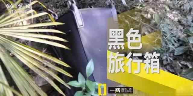 营山黑社会 营山郊外黑色旅行箱内发现尸体，牵出一桩连环案