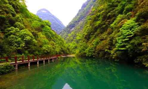 重庆金佛山旅游攻略 重庆周末旅游去哪玩？金佛山旅游全攻略