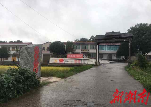 宁乡大成桥 宁乡市大成桥镇：“哪个不想家乡好？”154名召集人聚出乡村新面貌