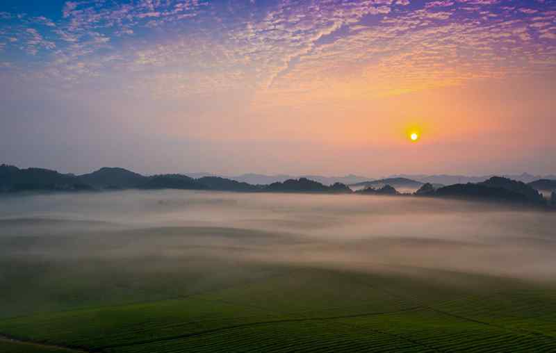 上海金桥国际茶城 去“中国茶海”湄潭休闲吗？那里也有湄江和桃花江