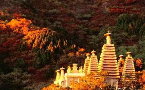 北京香山一日游攻略 北京周末旅游好去处  北京香山旅游全攻略