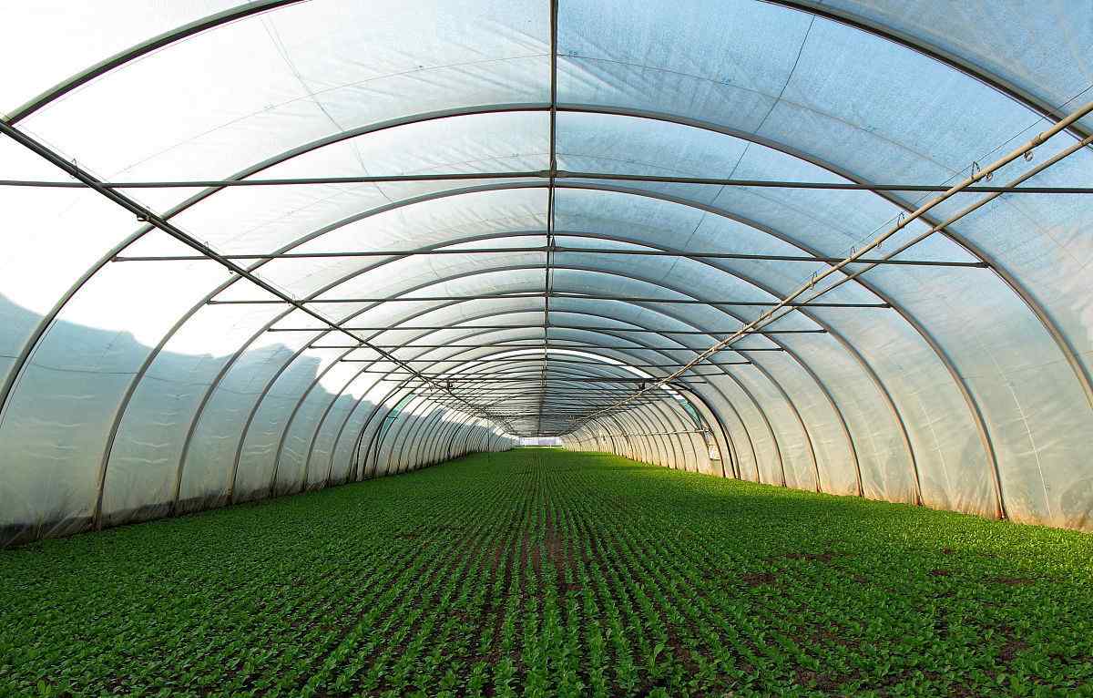 农业大棚 智慧农业—温室大棚