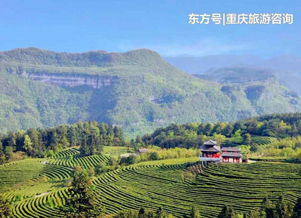 白马影院 5月1日重庆首家8D影院在白马山正式启幕啦！
