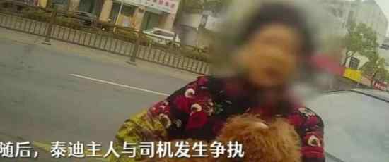 狗狗未拴绳过马路被撞死主人全责 具体是什么情况