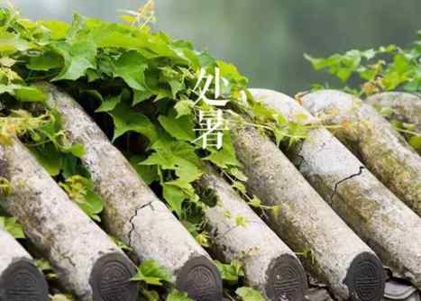 处暑节气的含义是什么 处暑节气代表了什么 处暑是什么意思