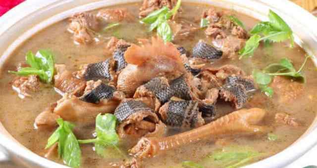 蛇咬鸡 广东6大恐怖美食，最后一种也下得了口