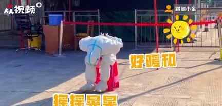 核酸检测小姐姐晒太阳抖腿 这是一种什么画面？