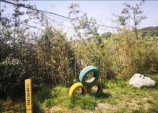 新密岳村 乡村振兴看河南系列之6:新密岳村镇竹杆园村的美丽蜕变之路