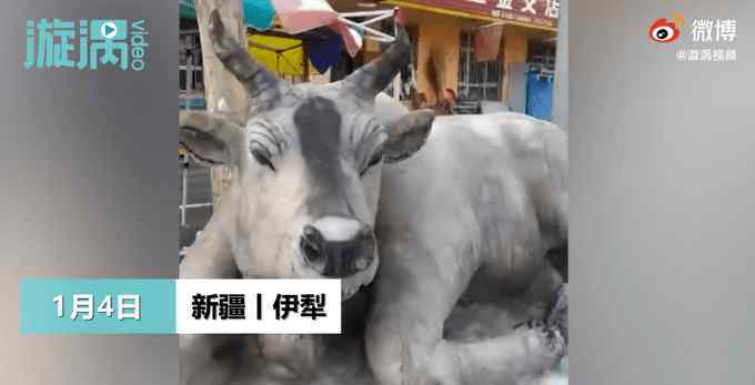 新疆大叔凭想象堆出逼真雪牛