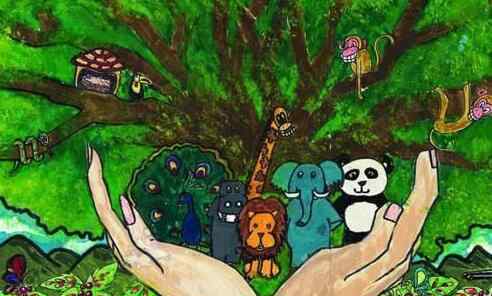 珍稀植物 国际生物多样性日，来看看湖南这些珍稀动植物