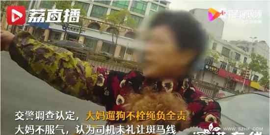 狗狗未拴绳过马路被撞死主人全责 交警的理由是什么