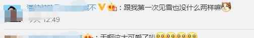 孵化企鹅第1次看雪