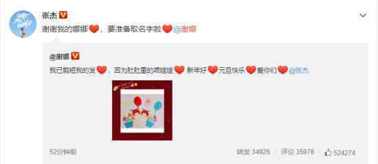谢娜宣布怀二胎 张杰：“谢谢我的娜娜”
