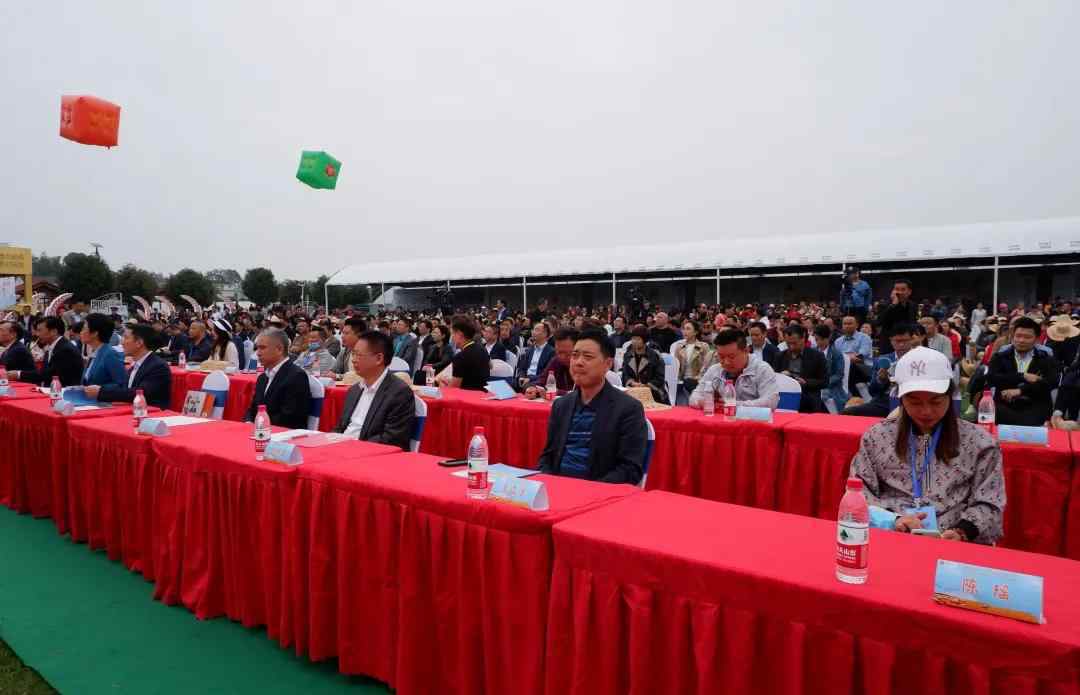 梦入桃花源 上海湘菜协会回湘游学回顾三：梦里桃花源常德