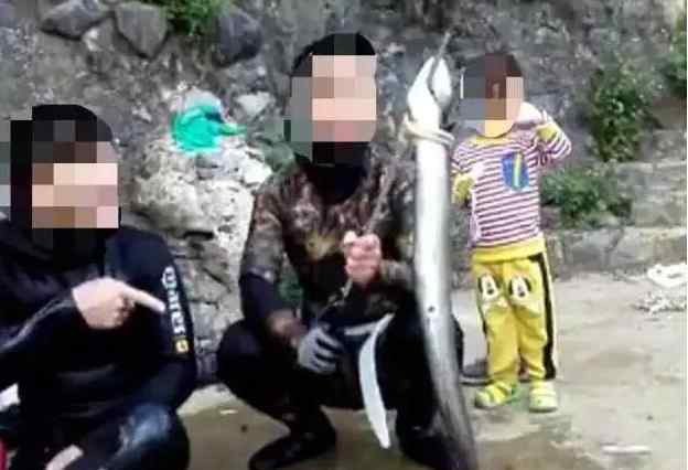 花鳗鲡 广西灵婉湖鱼王遭猎杀 花鳗鲡属于国家二级保护动物真凶不明