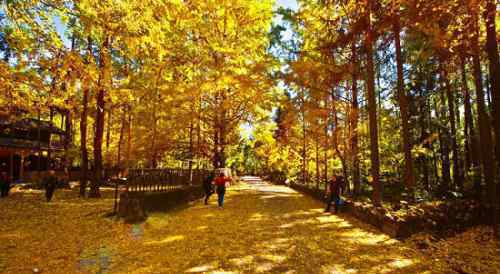 十月旅游 10月适合去哪里旅游？ 中国6大最美秋色