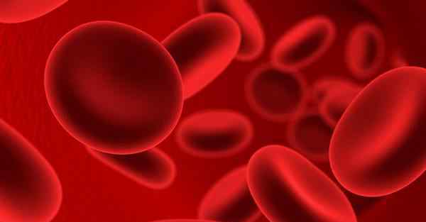 血蛋白高是什么引起的 血红蛋白偏高的原因是什么？会引起那种疾病危害