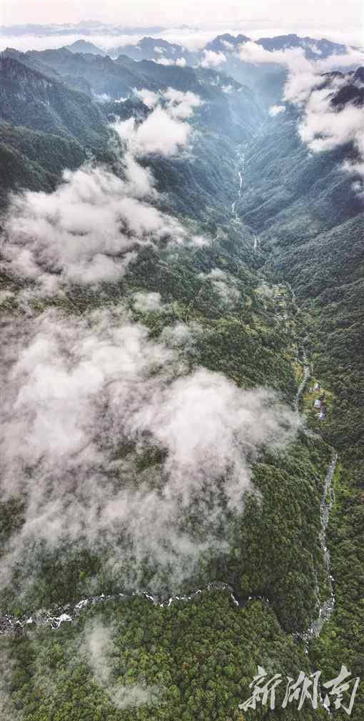 楠木溪 湖南日报｜桑植之水 旖旎多姿