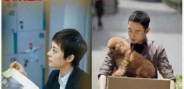 安家电视剧大结局 电视剧《安家》大结局全集，53集抢先看