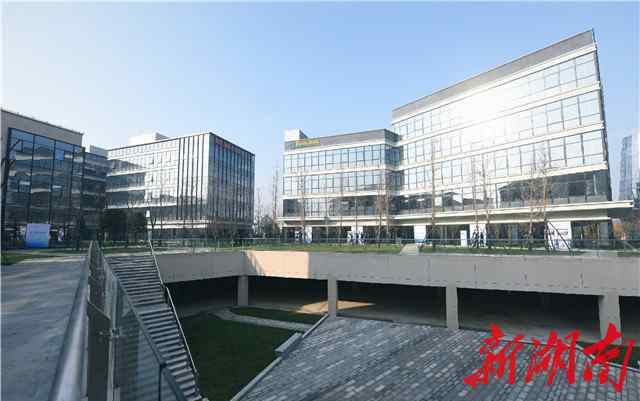 麓山就业 奋斗成就新岳麓——长沙市岳麓区2019年经济社会发展亮点直击