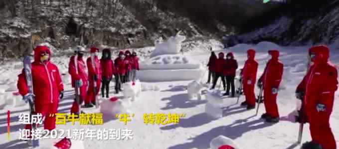 滑雪场员工堆100个雪牛迎新年