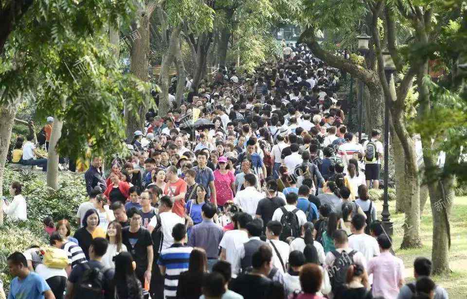 惊艳网 杭州“西湖最美女警”:执勤照惊艳网友,为热爱进入机动队
