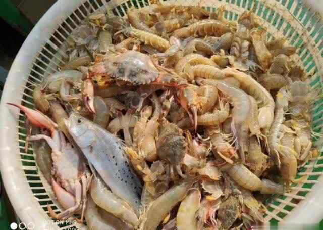 黄骅港旅游 沧州旅游哪里去？黄骅港来看海！