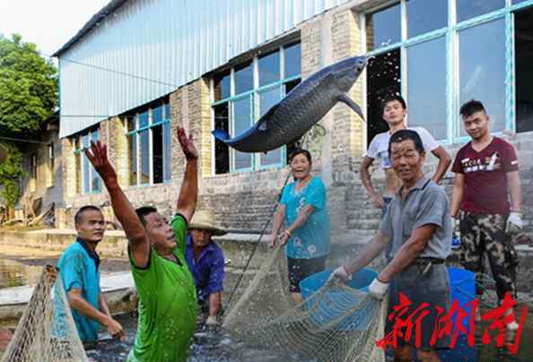 常德人最不像湖南人 常德有个县，被称为维吾尔族人第二故乡