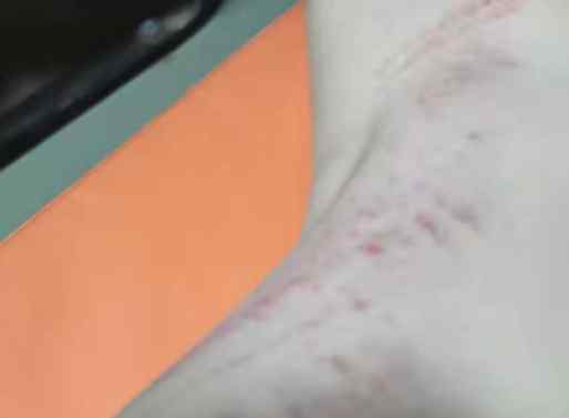 女家长实名举报与校长有婚外情 事件详细经过！