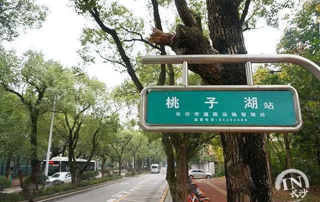 风流十三姨 “堕落街”文艺转身，这里是见证我们青春的地方文章配图