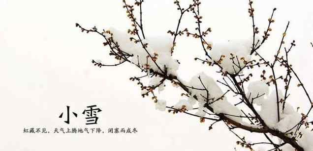 小雪节气的诗 关于“小雪”节气的古诗词鉴赏