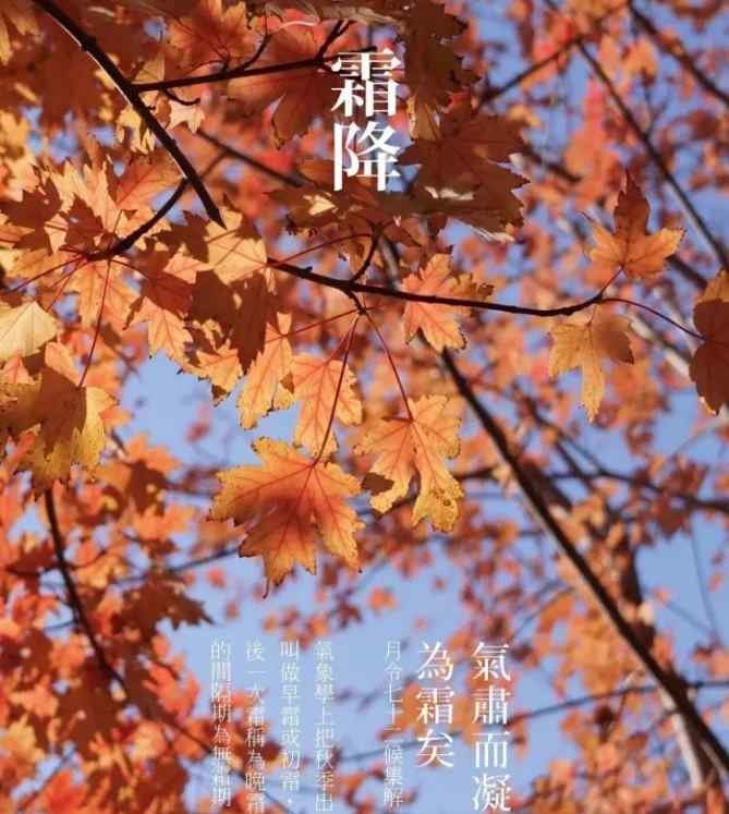 山东省济南市济阳县天气 山东天气：“霜降”节气，济阳等地有霜冻