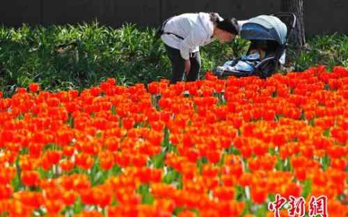 天气什么时候回暖 全国多地提前入春 春捂到底应不应该？春捂捂到什么时候？文章配图