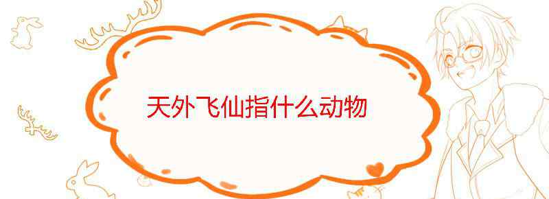 天外飞仙指什么动物