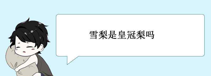 雪梨是皇冠梨吗