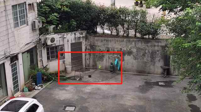 诸暨狗训练学校 诸暨一宠物医院，圈占居民楼空地养狗！曝光后部分已拆除