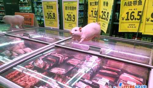 2万吨中央储备冻猪肉在路上 究竟发生了什么?