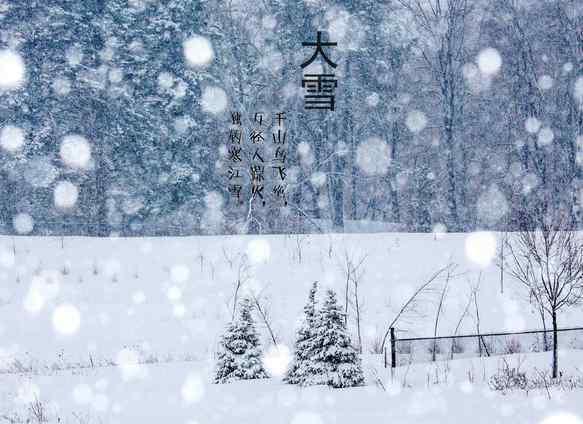 萝卜吃什么 大雪节气吃什么 多吃萝卜少生病