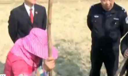 4人盗伐3棵树 为什么这么胆大？