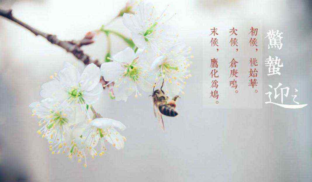 惊蛰是什么意思 惊蛰是什么意思 惊蛰的含义是什么