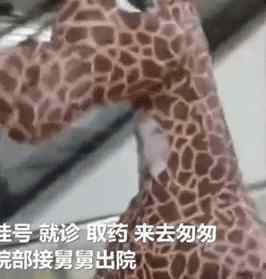 女子穿火龙充气服逛商场被拦 女子穿火龙充气服逛商场被拦！还有人“变身”宇航员、长颈鹿上街...