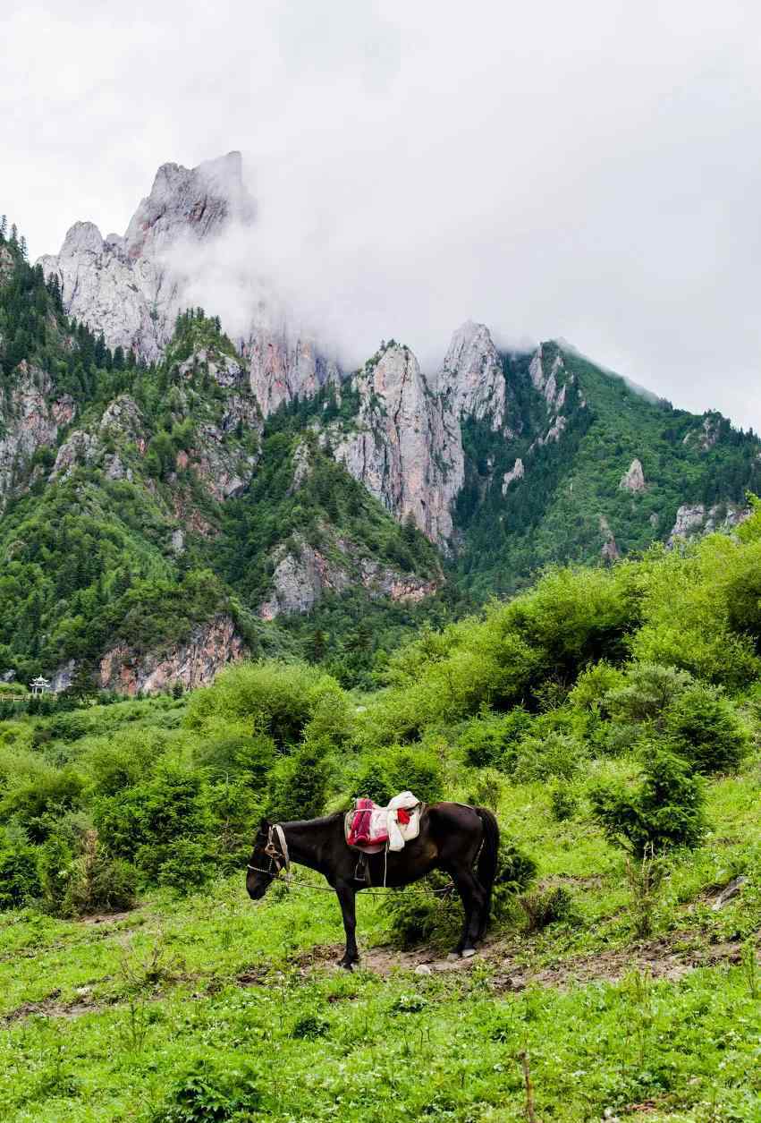 甘南吧 毕业旅行 | 来甘南吧，乘风破浪去，景区景点免费开放