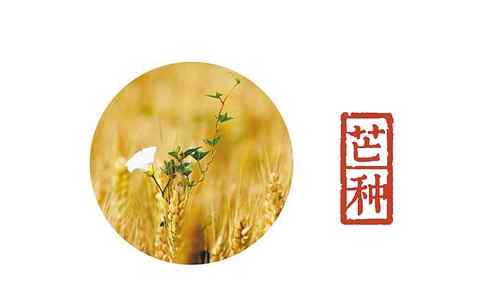 芒种是几月几号 2016年芒种是几月几号，是什么时候？
